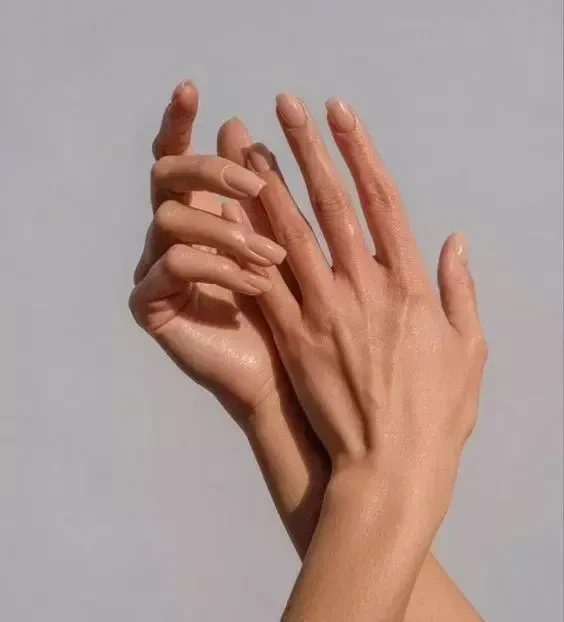 main-web